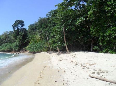 Lanse fourmi estate