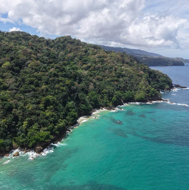 Lanse fourmi beachfront