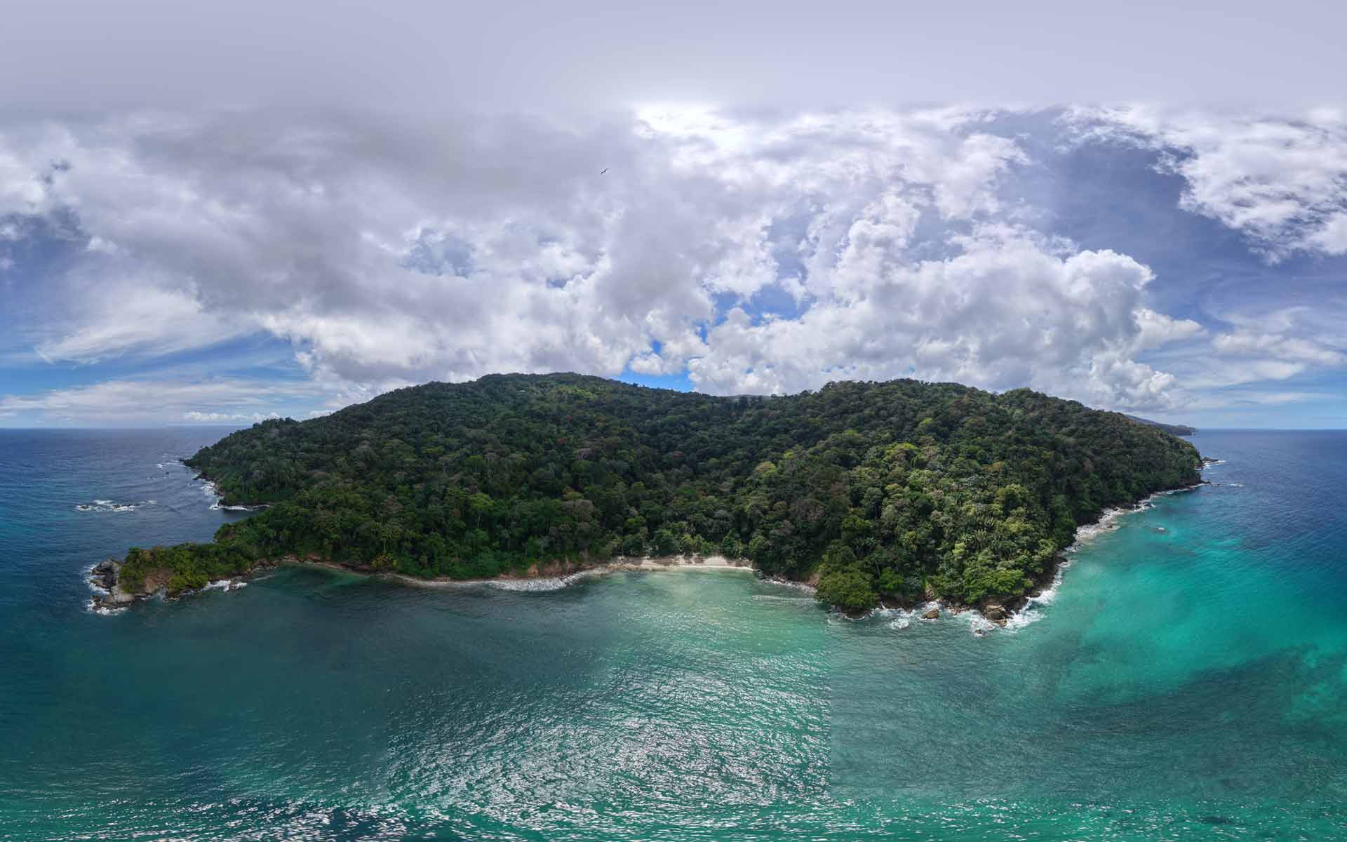 Lanse fourmi birds eye view